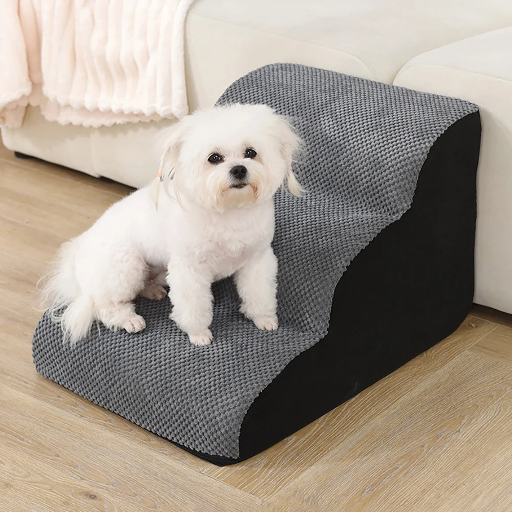 Pets Steps For Dogs Cats