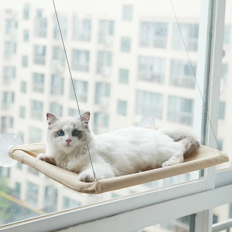 Suspended cat bed