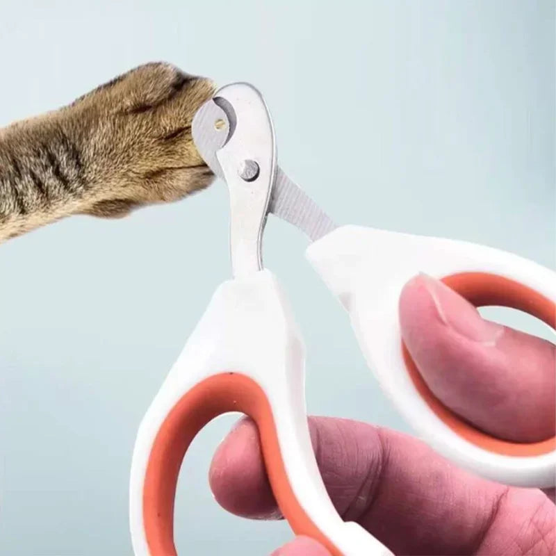 Scissors for cats and dogs