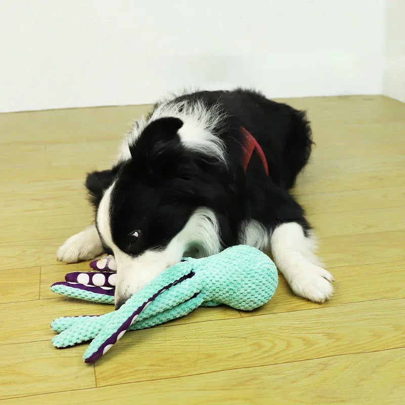 Dog Interactive Toys