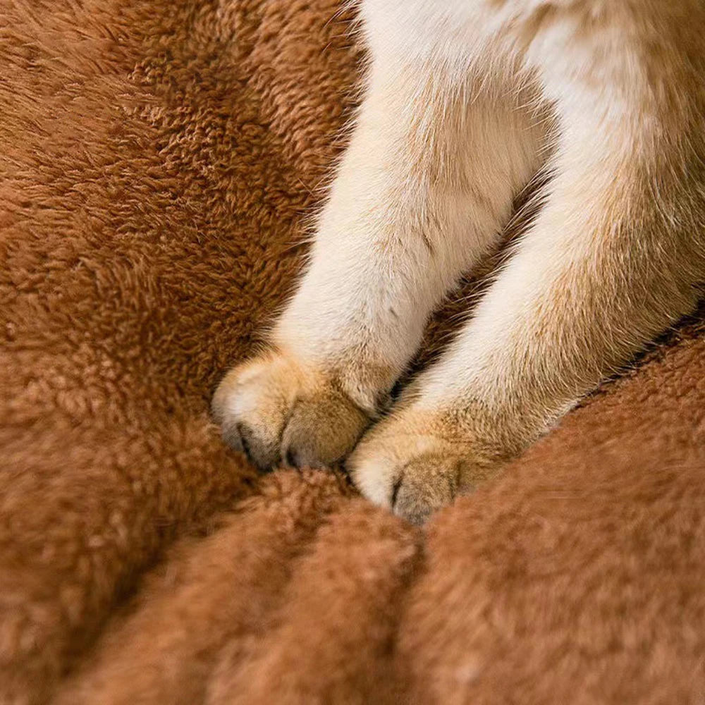Pet Bed Brown Teddy Bear