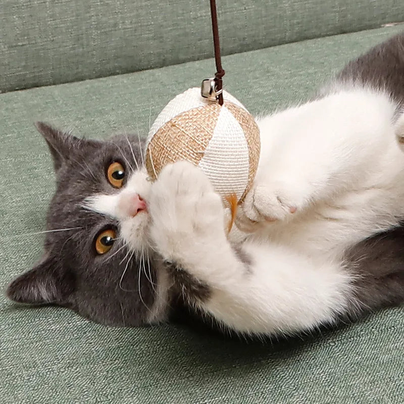 Teaser Feather Toys Kitten