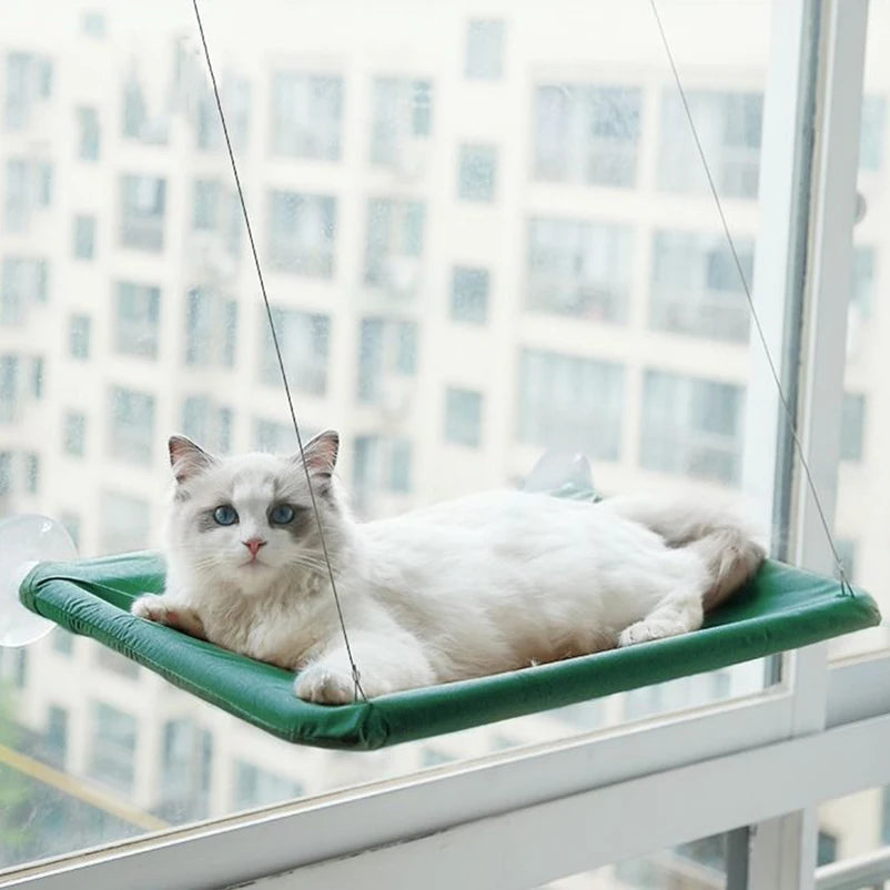 Suspended cat bed