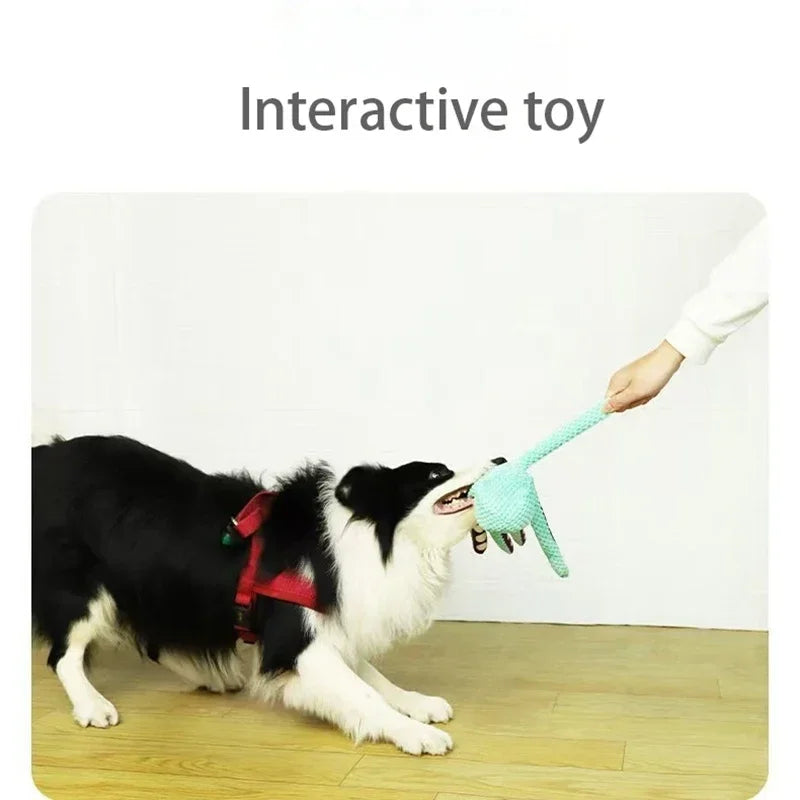 Dog Interactive Toys