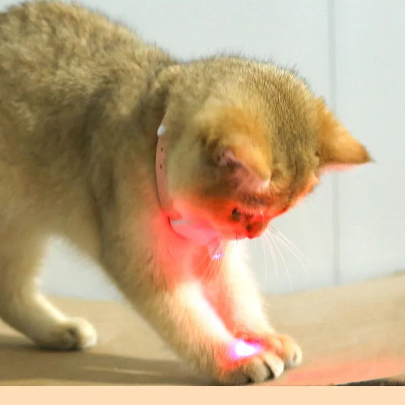 Smart Laser Cat-teasing Collar