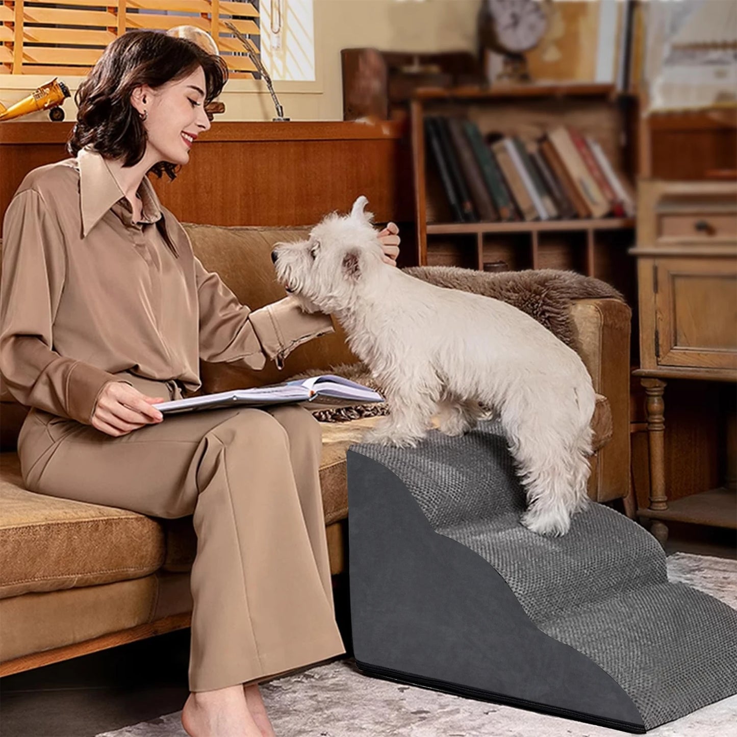 Pets Steps For Dogs Cats
