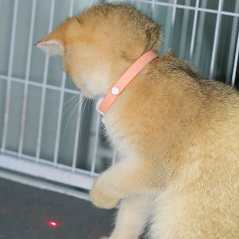 Smart Laser Cat-teasing Collar