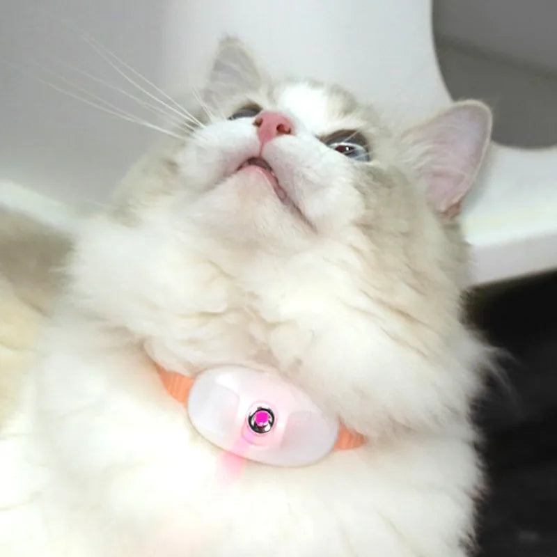 Smart Laser Cat-teasing Collar