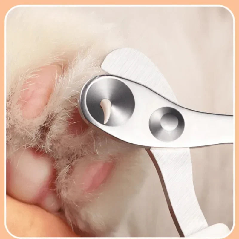 Scissors for cats and dogs