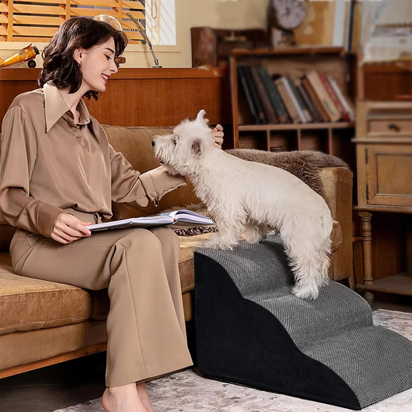 Pets Steps For Dogs Cats