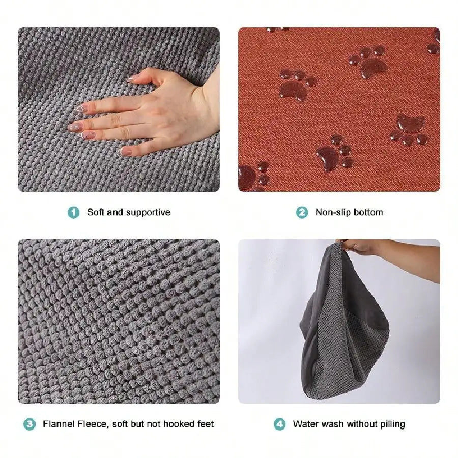 Pets Steps For Dogs Cats