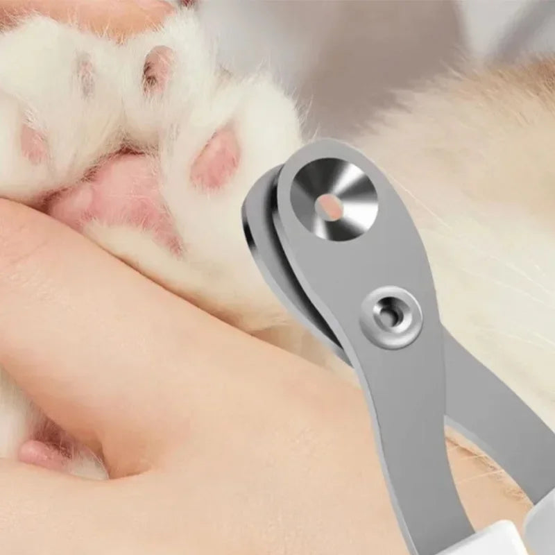 Scissors for cats and dogs