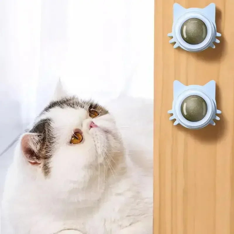 Catnip Balls Funny Lickable