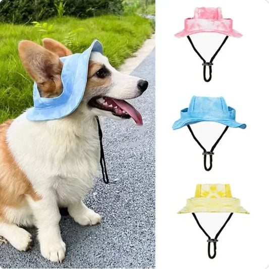 Dog Hat with Ear Holes