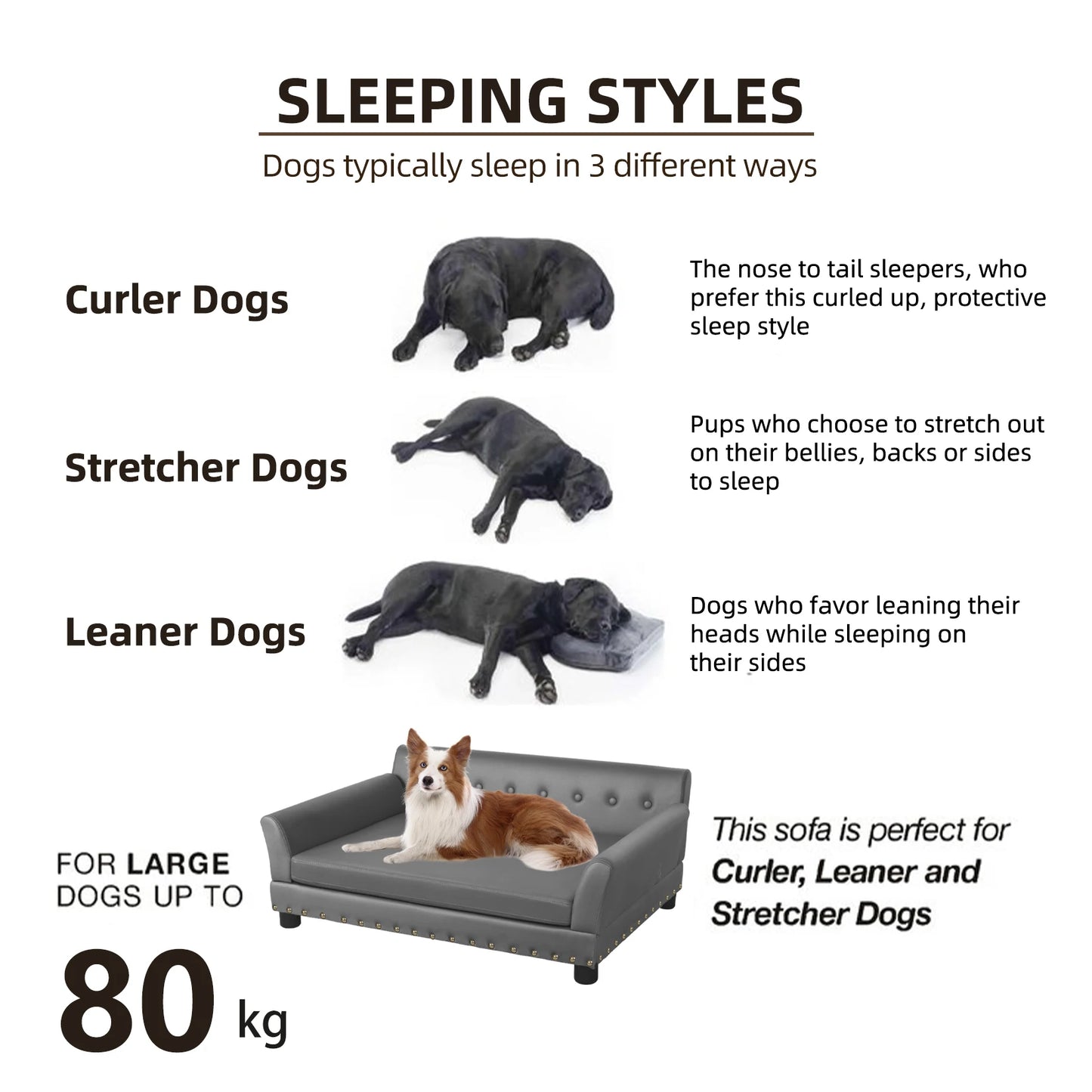 Elevated Dog Bed Sofa Microfiber