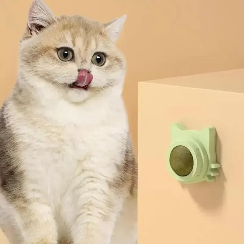Catnip Balls Funny Lickable