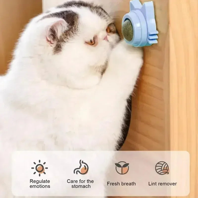Catnip Balls Funny Lickable