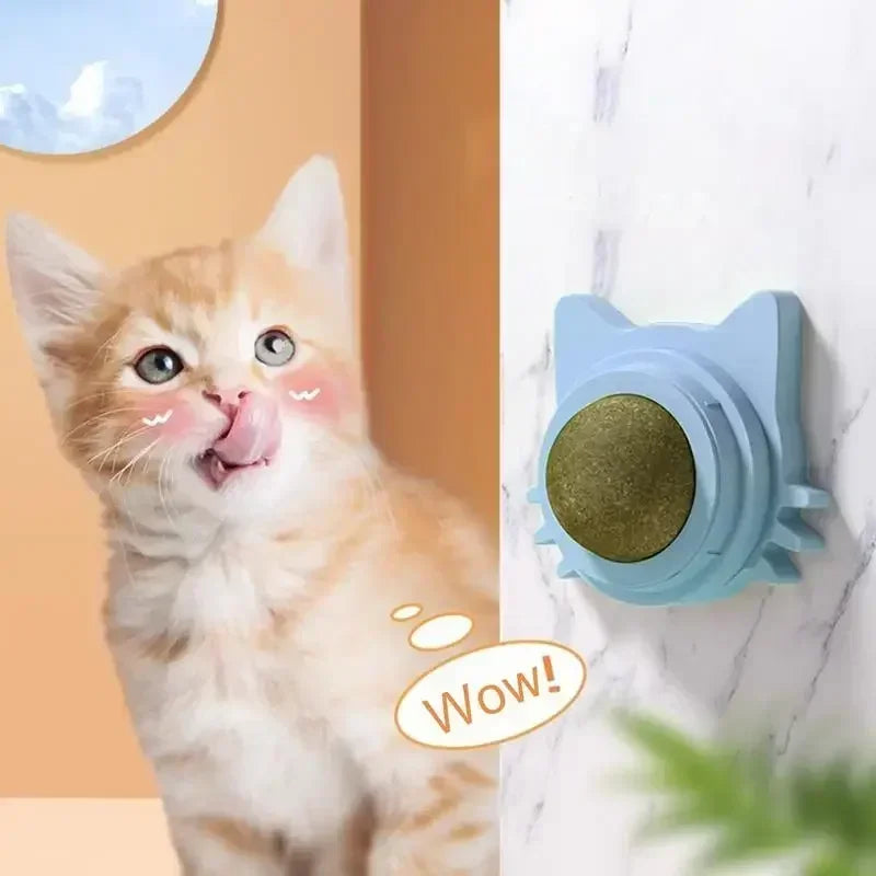 Catnip Balls Funny Lickable