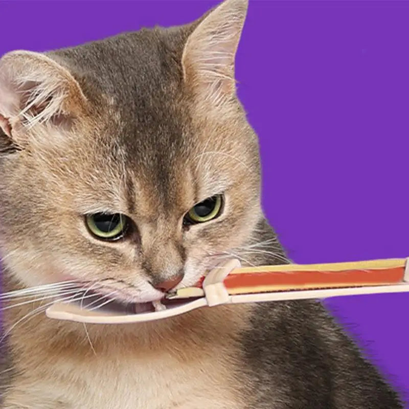Cat Squeeze Feeder Wet Food