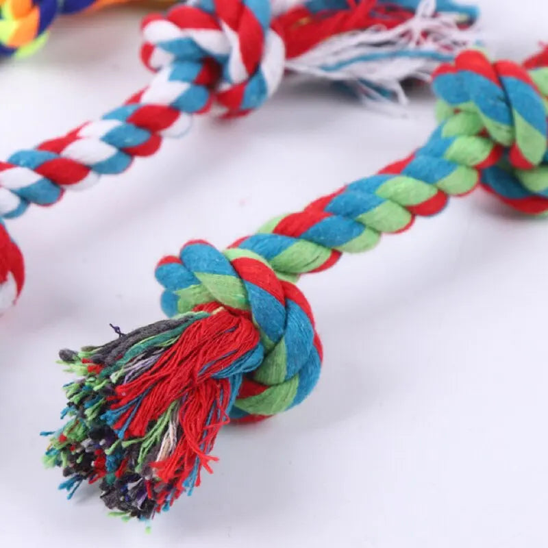 Dog toy pet molar resistant