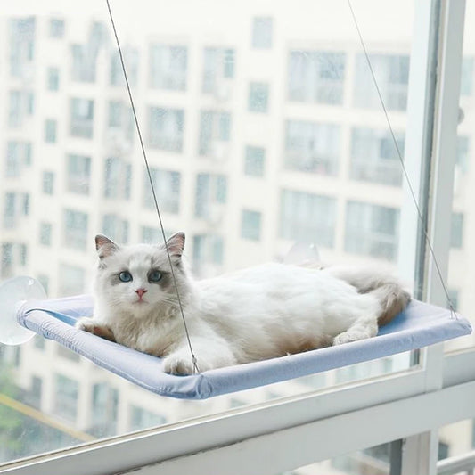 Suspended cat bed