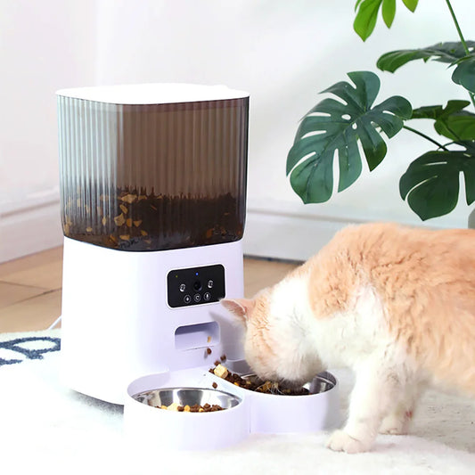 Dispenser Automatic Feeder 5L