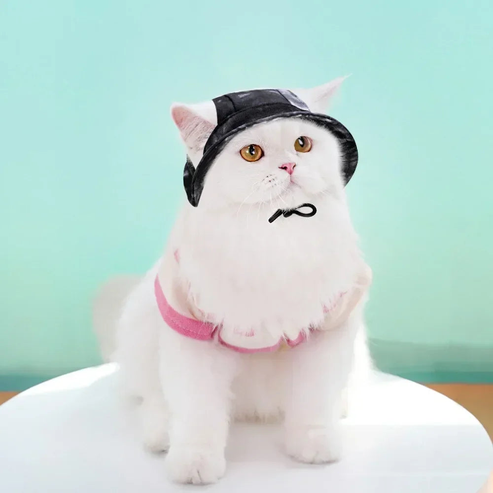 Dog Hat with Ear Holes
