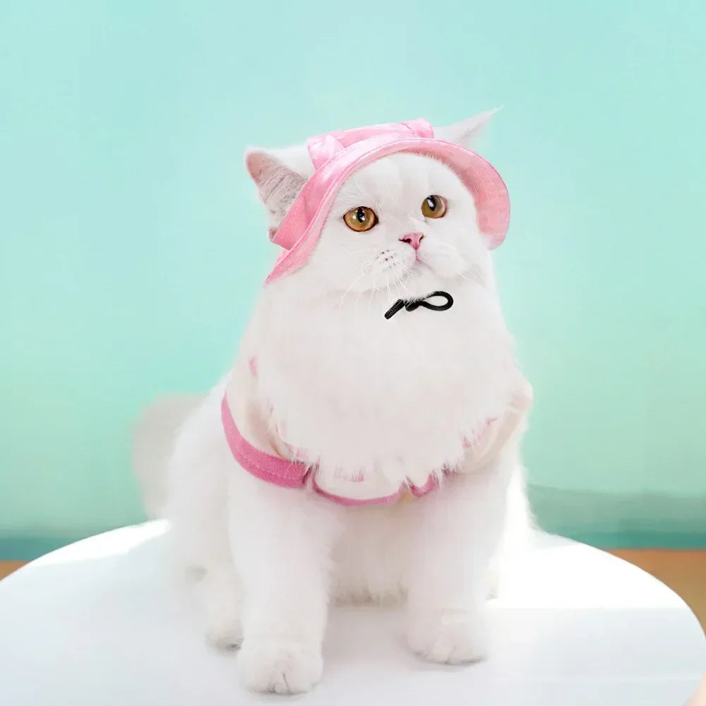 Dog Hat with Ear Holes