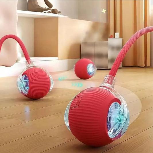 Cat Interactive Ball Toy